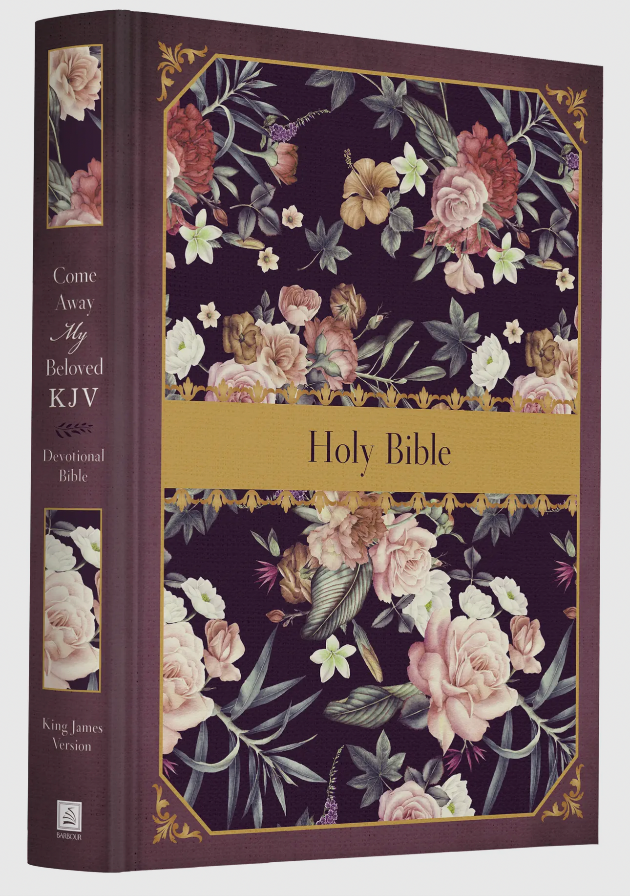 KJV devotional bible